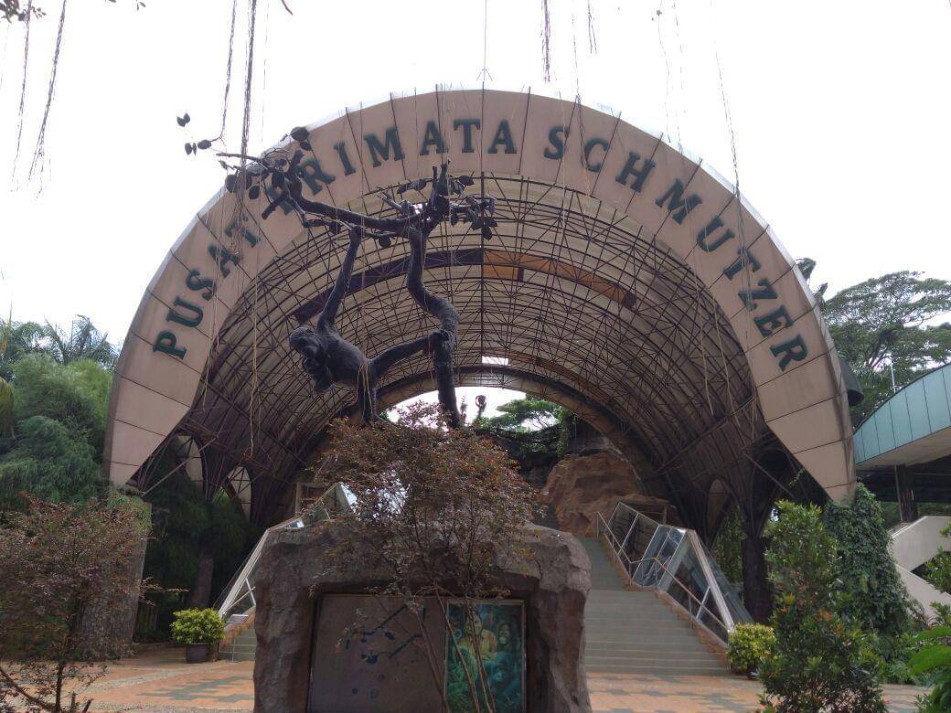 popmama.com/donahandayani